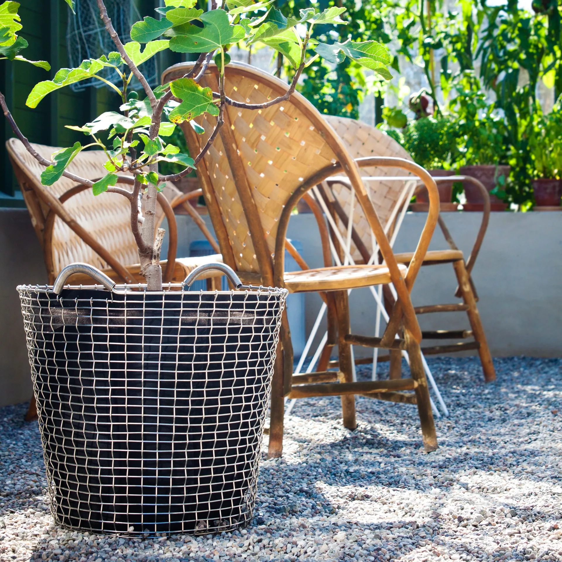 Korbo棉织种植袋 三件套装, 65 l KORBO