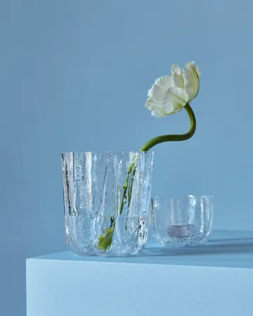 Crackle 花瓶12,1cm - 透明款 - Kosta Boda