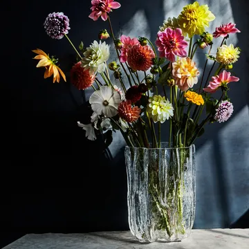 Crackle 花瓶 27cm - 透明 - Kosta Boda