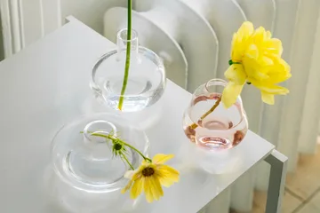 Kappa 花瓶 56mm - 透明款 - Kosta Boda
