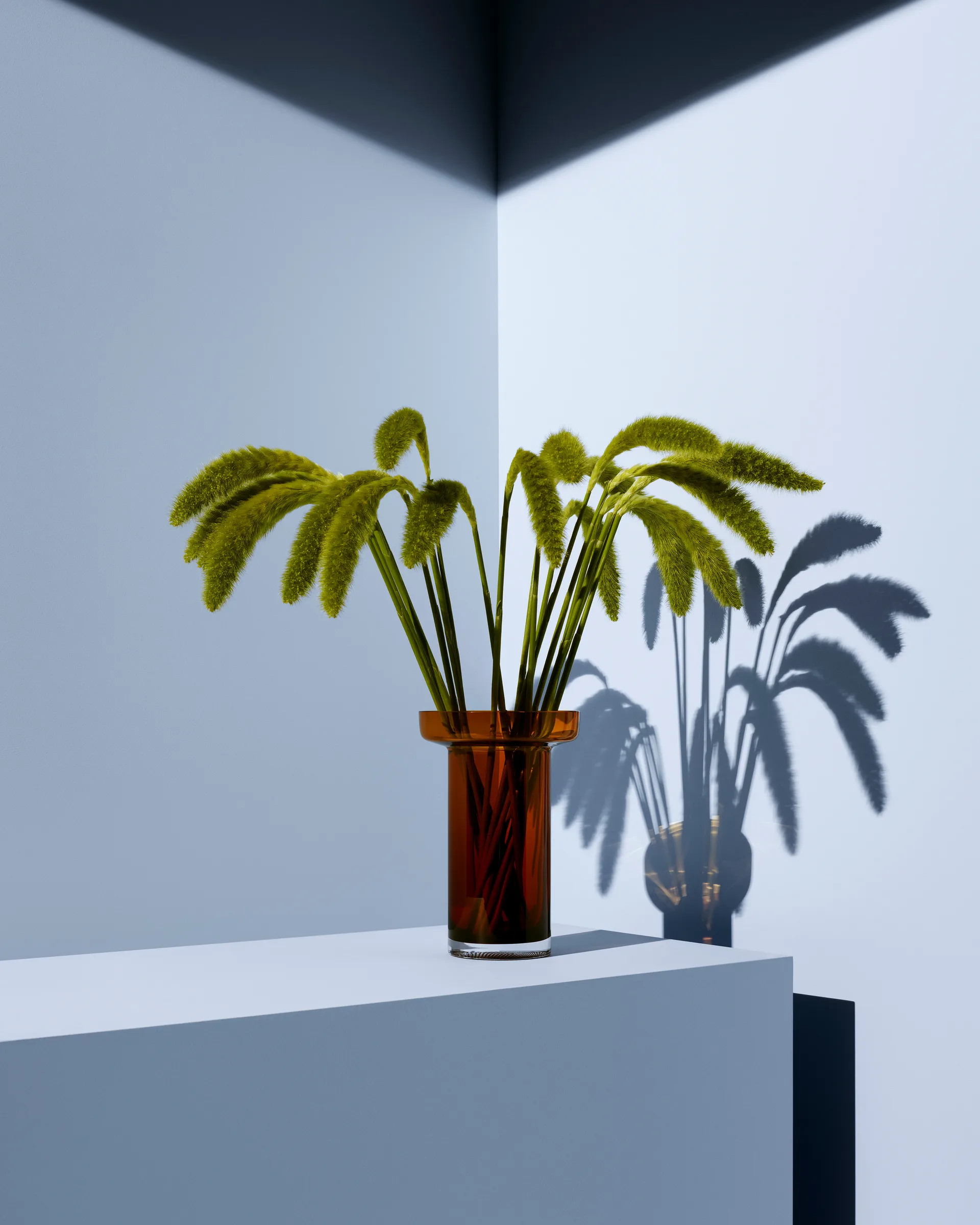 Limelight Rose 花瓶 23 cm, Amber Kosta Boda