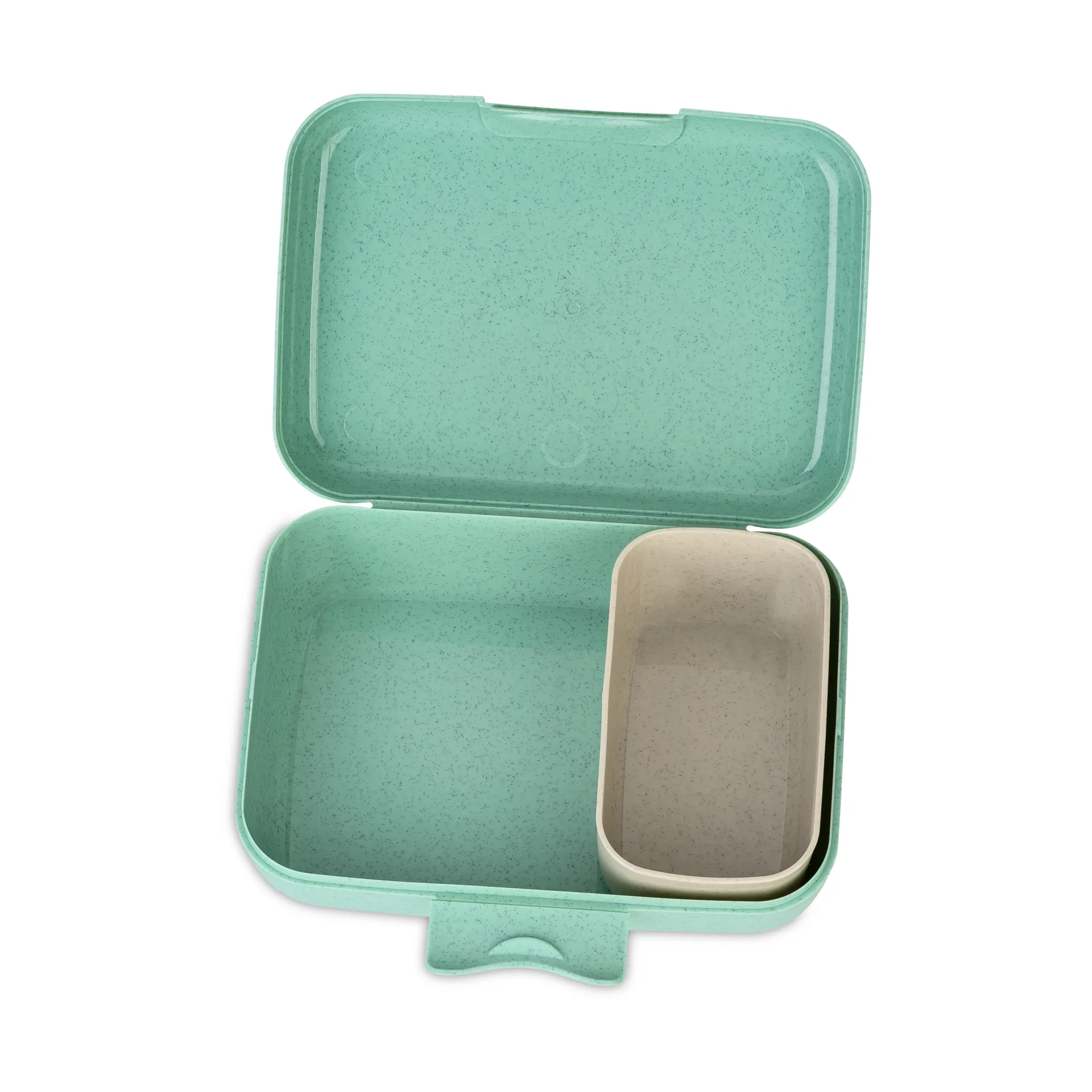 Candy 午餐盒 L, Dinosaur Koziol