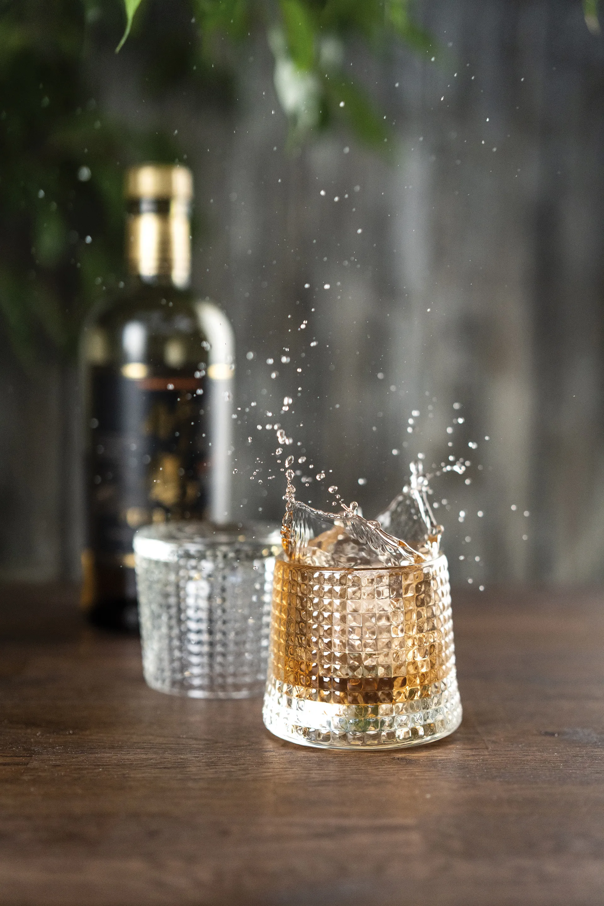 Blossom 威士忌杯 160ml 4只装, 透明 La Rochère