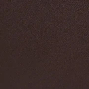 Cinema 扶手椅 - Elmo Nordic 皮革 深褐色–镀铬色 frame - Lammhults