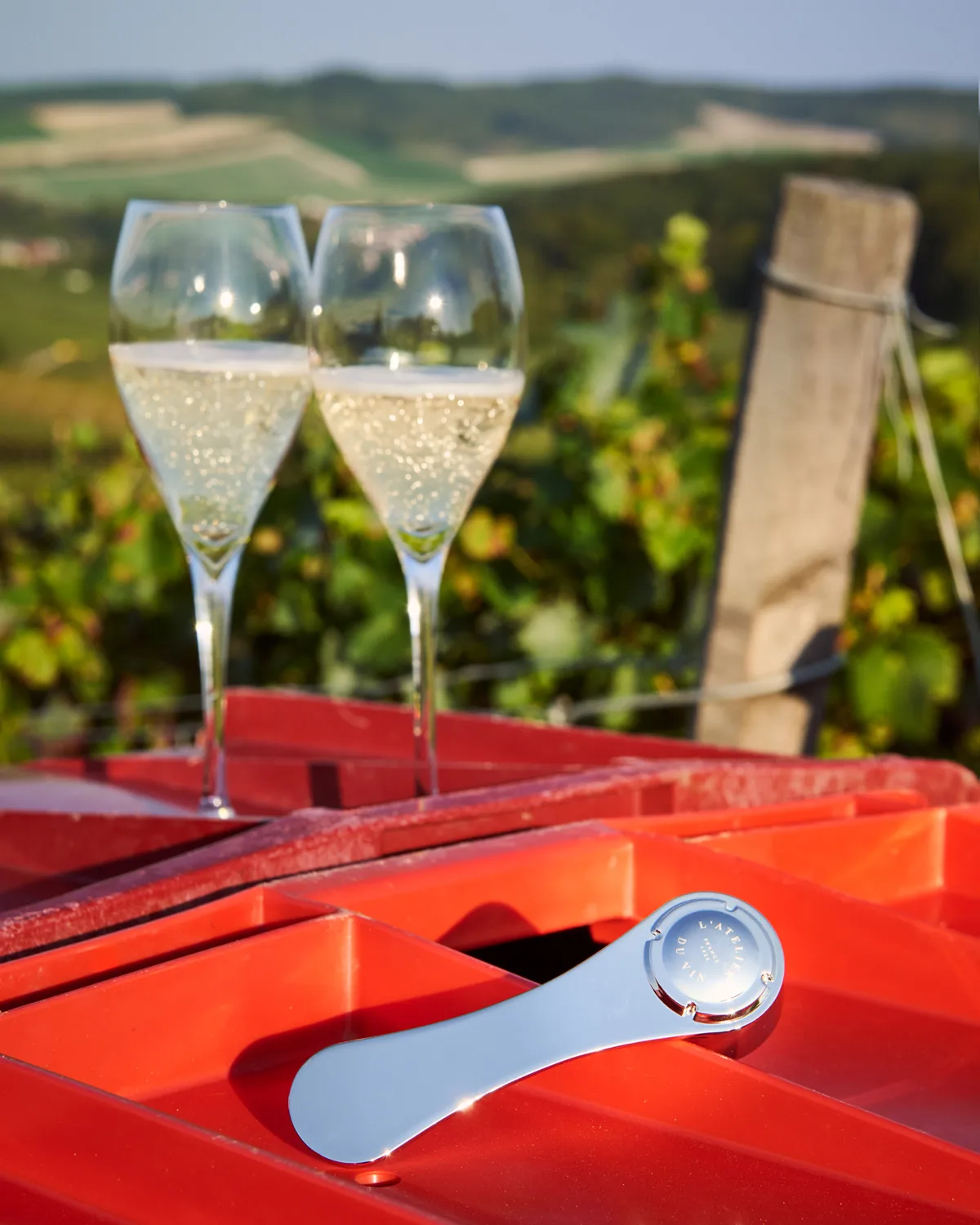 Pince á bouchon香槟开瓶器, 银色 L'Atelier du Vin