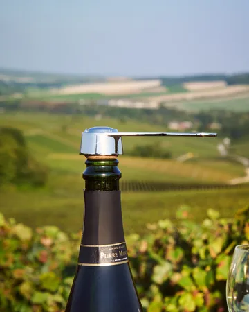 Pince á bouchon香槟开瓶器 - 银色 - L'Atelier du Vin