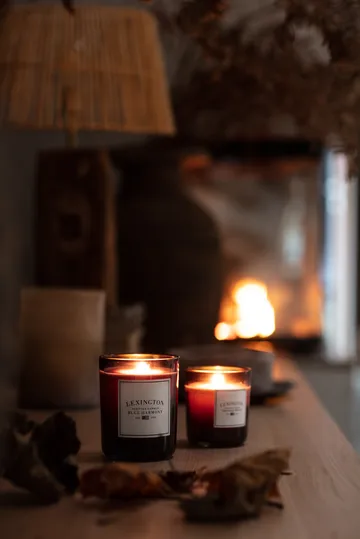 Blue Harmony scented candle 60 hours - Dark 蓝色 - Lexington