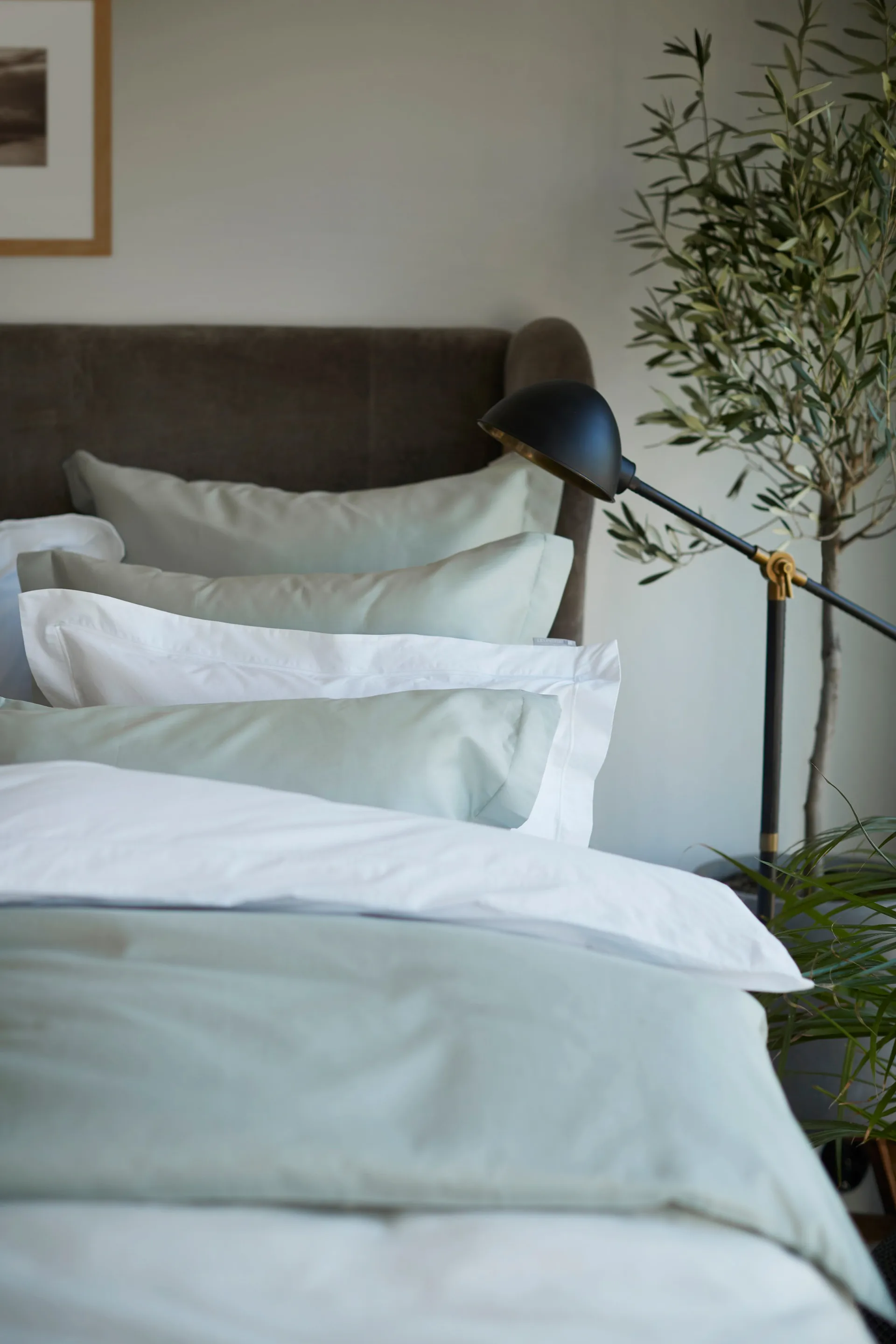 Hotel Cotton Sateen 枕头套 50x60 cm, Sage 绿色 Lexington