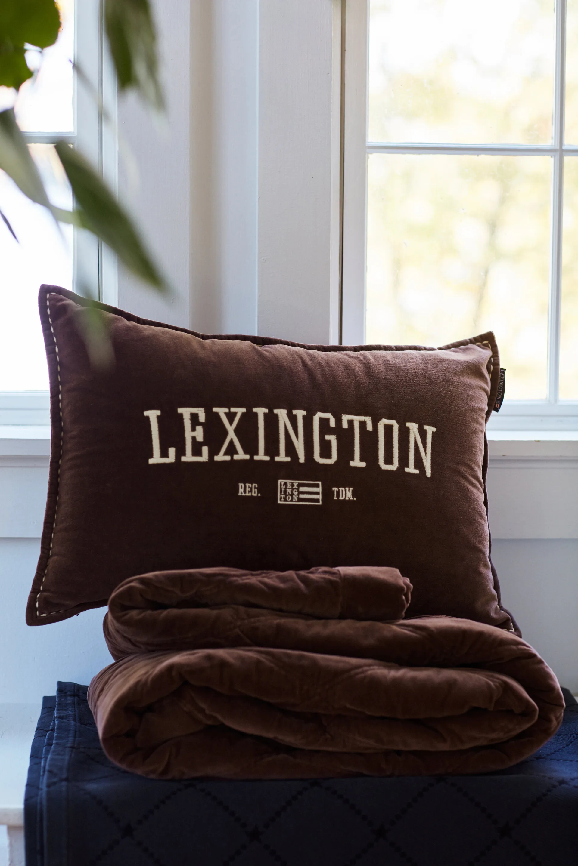 Logo Message Organic Cotton Velvet 靠枕|靠垫 40x60 cm, Brown Lexington