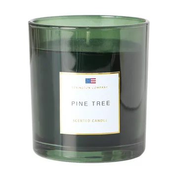 松树香味蜡烛 - Pine Tree 香薰蜡烛 - Lexington