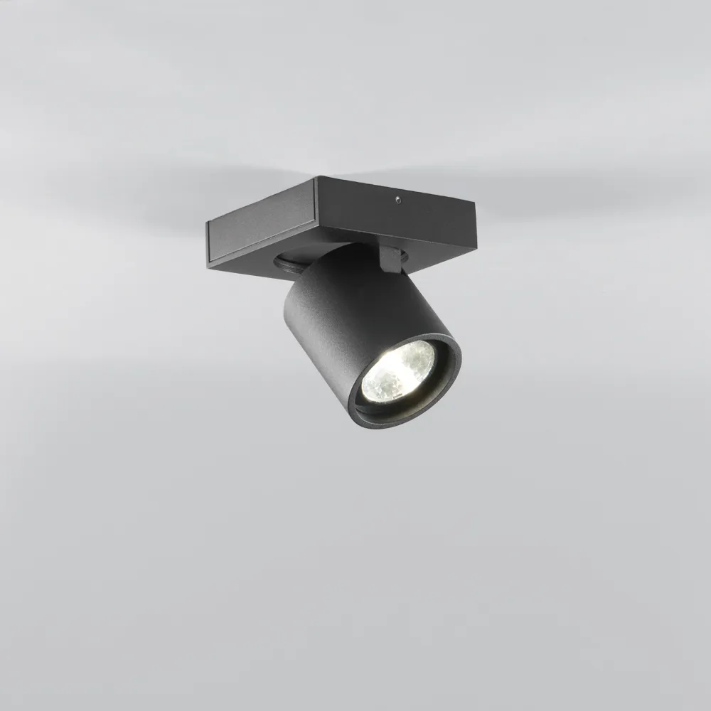 Focus 1壁 and ceiling 灯, 黑色, 2700 kelvin Light-Point