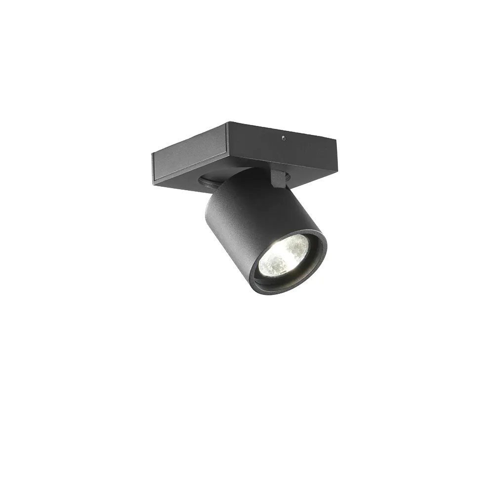 Focus Mini 1壁 and ceiling 灯, 黑色, 2700 kelvin Light-Point