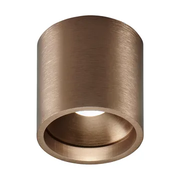 Solo Round 2 spotlight - 玫瑰色 金色 - Light-Point