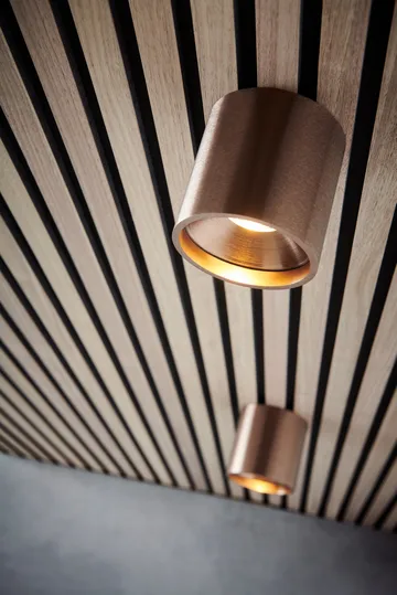 Solo Round 2 spotlight - 玫瑰色 金色 - Light-Point