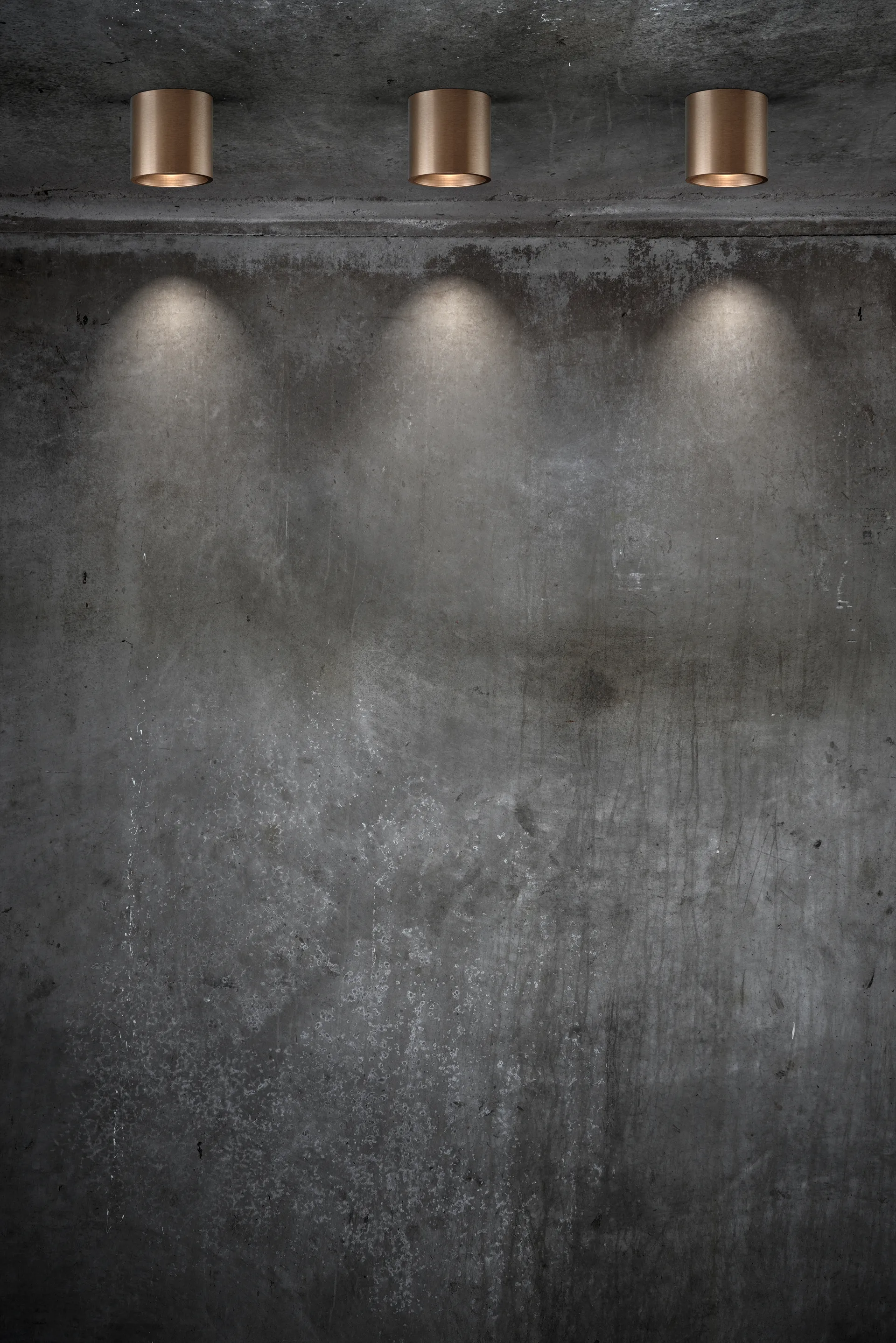 Solo Round 2 spotlight, 玫瑰色 金色 Light-Point