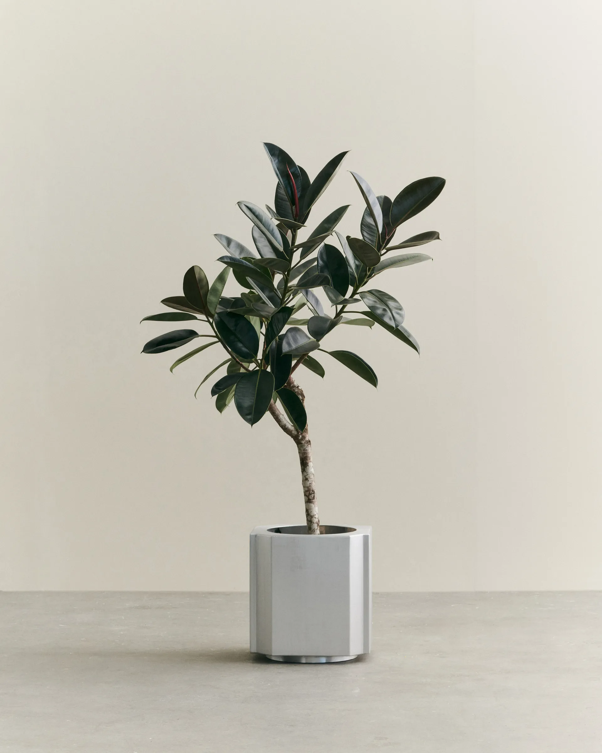 Funki 中号花盆40cm, 拉丝铝 Louise Roe