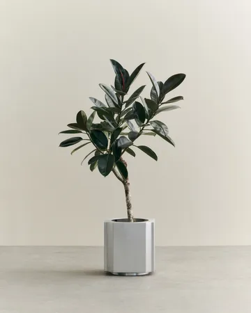Funki 中号花盆40cm - 拉丝铝 - Louise Roe