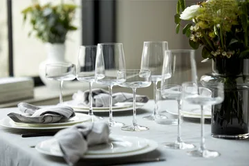 Zero 碟形香槟杯 260ml 4只装 - 晶透 - Lyngby Glas