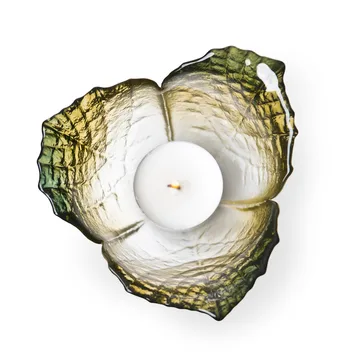 Folia lightbowl - Forest 绿色 - Målerås Glasbruk