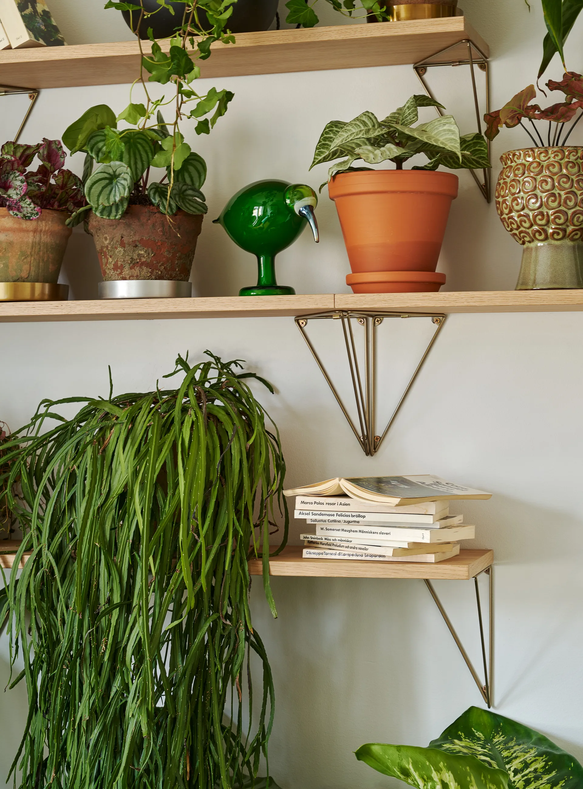 Pythagoras 架子, oak Maze