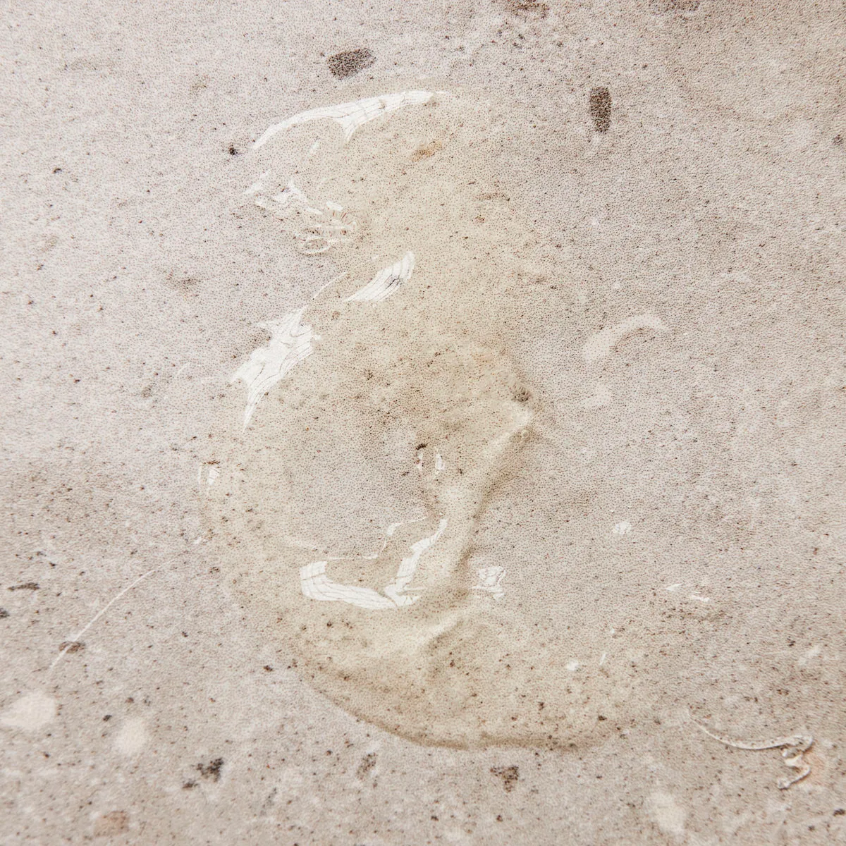 Meraki hand soap 490 ml, meadow bliss Meraki