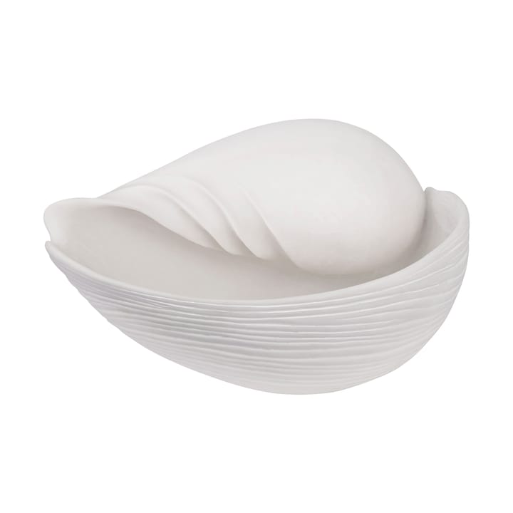 Conch decorative shell - 大 - Mette Ditmer