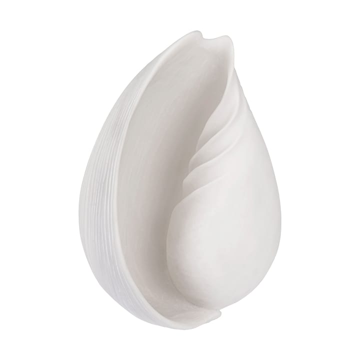 Conch decorative shell, 大 Mette Ditmer