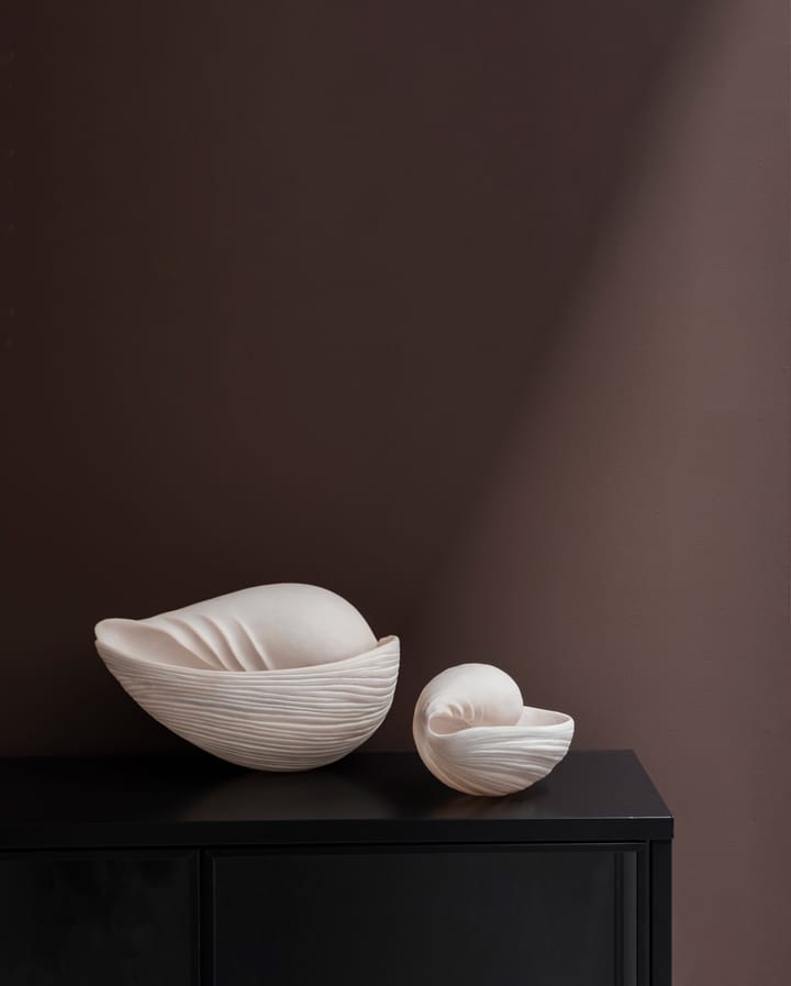 Conch decorative shell, 大 Mette Ditmer
