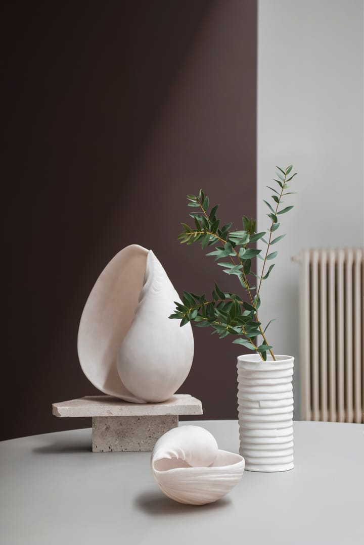 Conch decorative shell, 大 Mette Ditmer