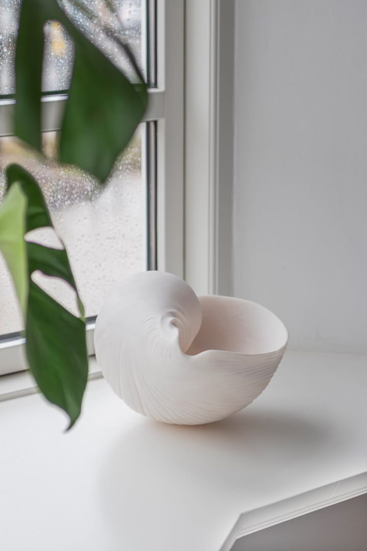 Conch decorative shell, 大 Mette Ditmer