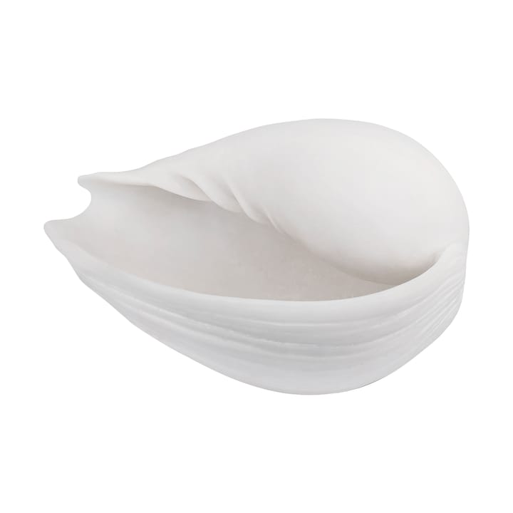 Conch decorative shell - 小 - Mette Ditmer