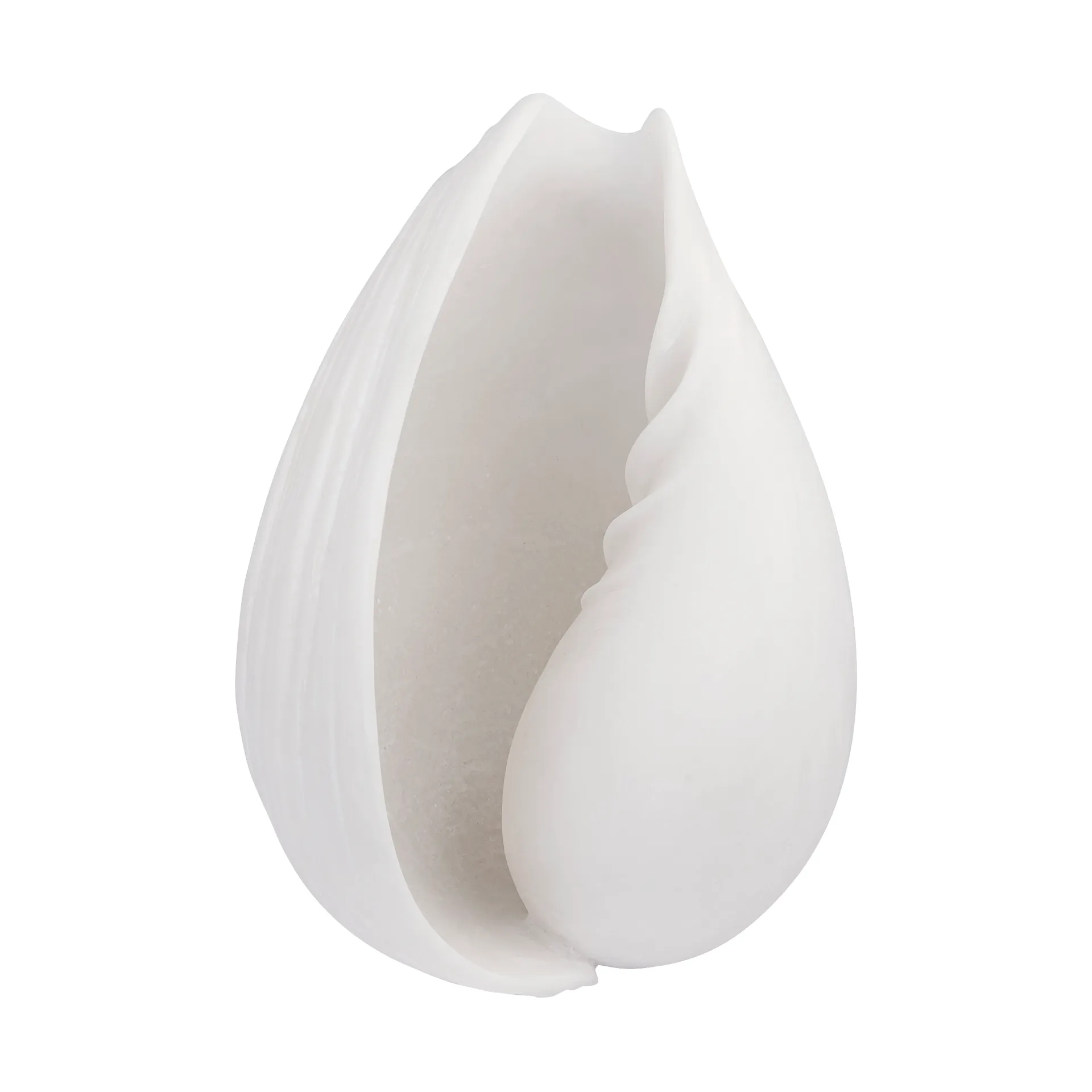 Conch decorative shell, 小 Mette Ditmer