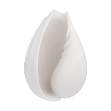 Conch decorative shell - 小 - Mette Ditmer