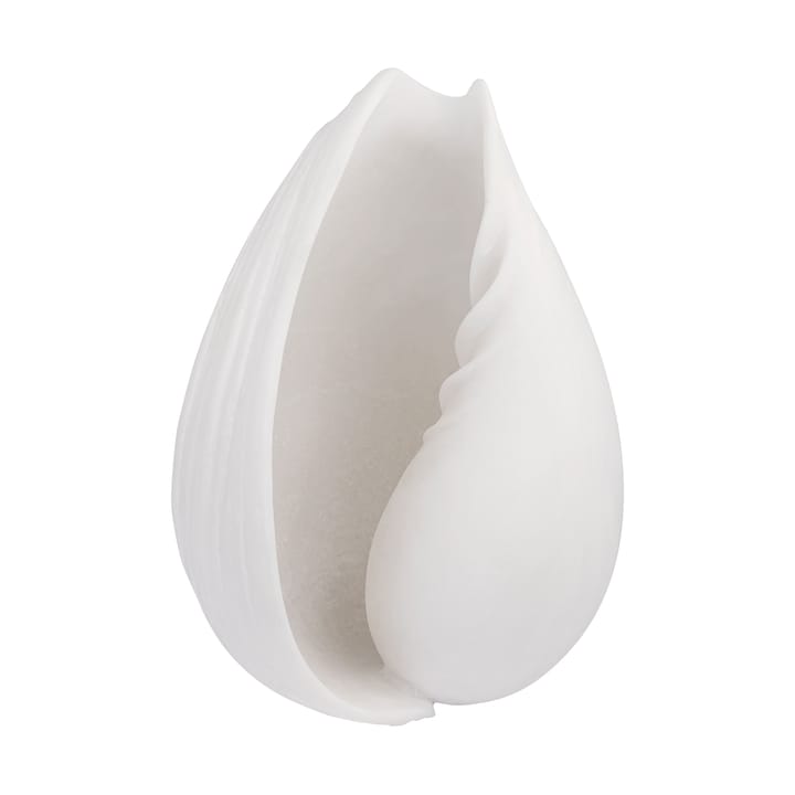 Conch decorative shell, 小 Mette Ditmer