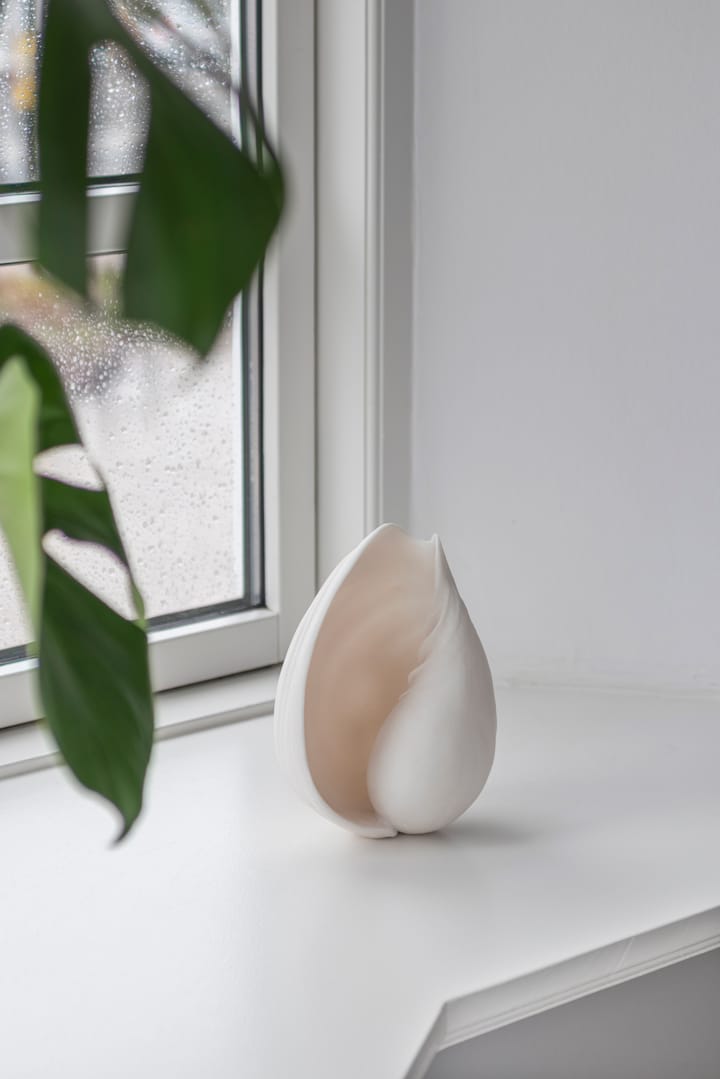Conch decorative shell, 小 Mette Ditmer