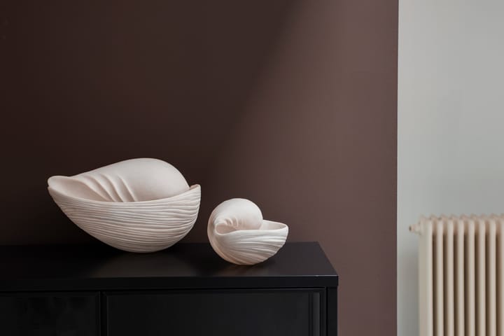 Conch decorative shell, 小 Mette Ditmer