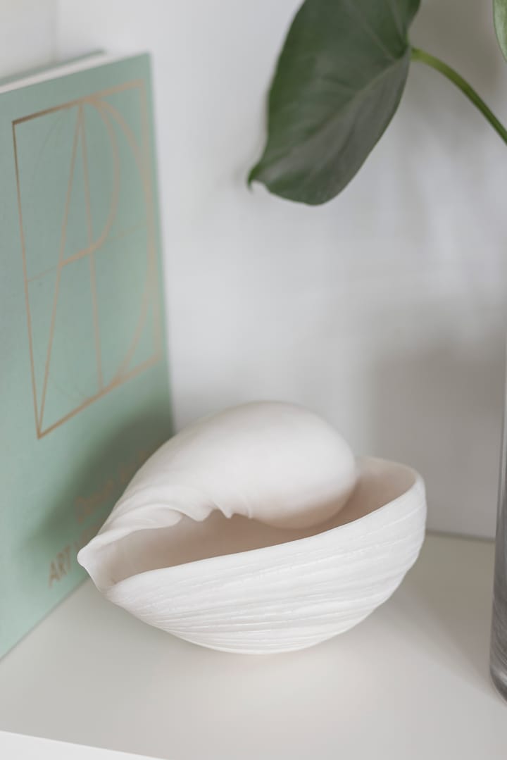 Conch decorative shell, 小 Mette Ditmer