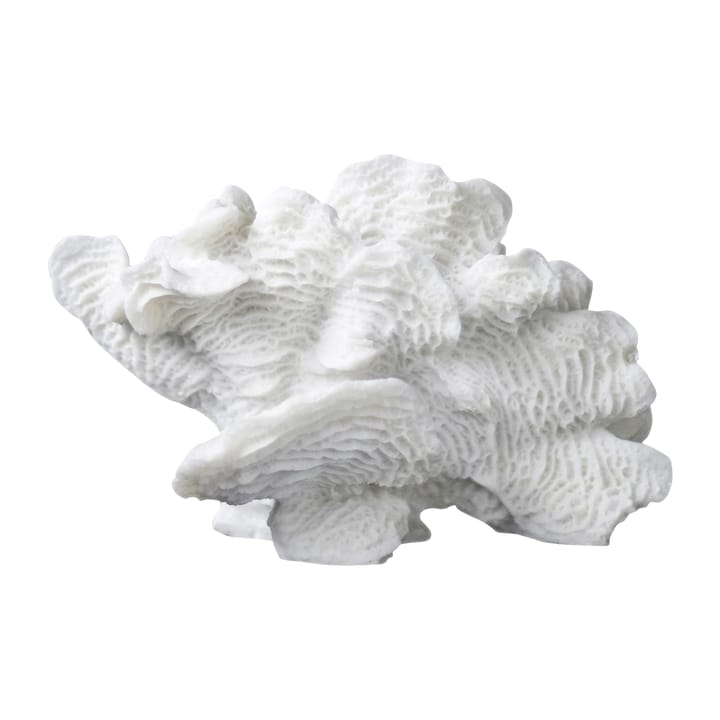 Coral fan - 白色 - Mette Ditmer