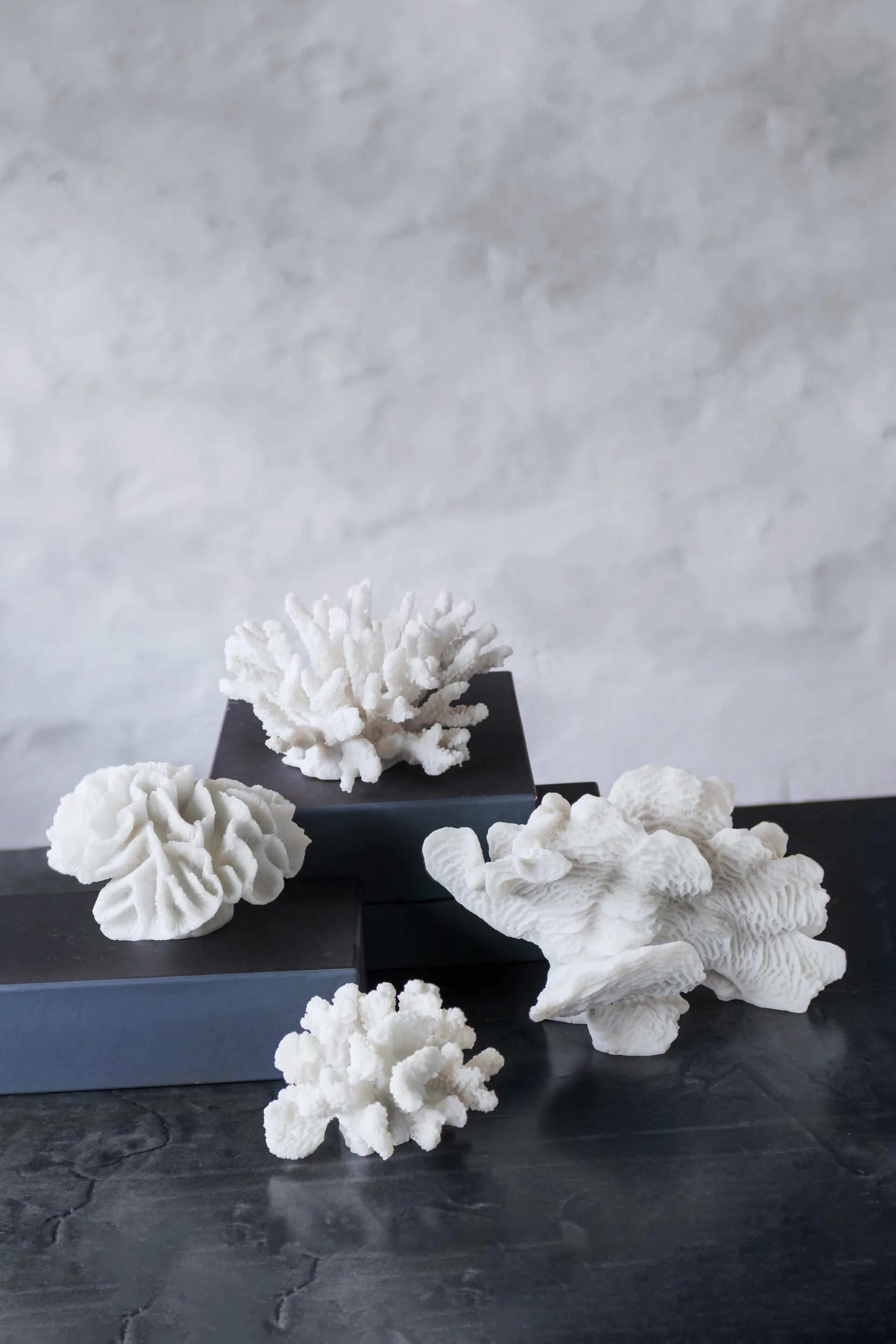 Coral fan, 白色 Mette Ditmer