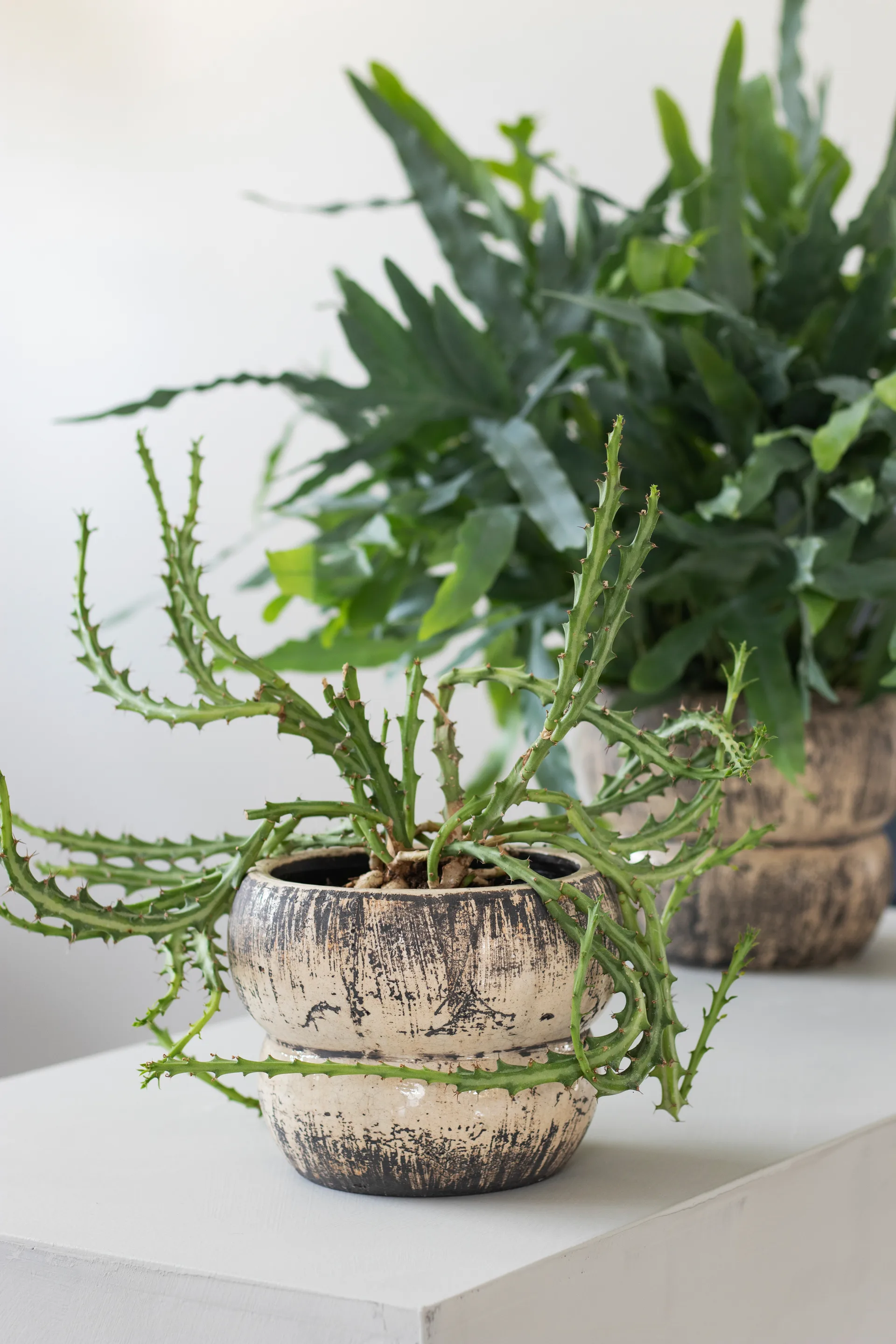 Raw flowerpot Ø17 cm, Off-白色 Mette Ditmer