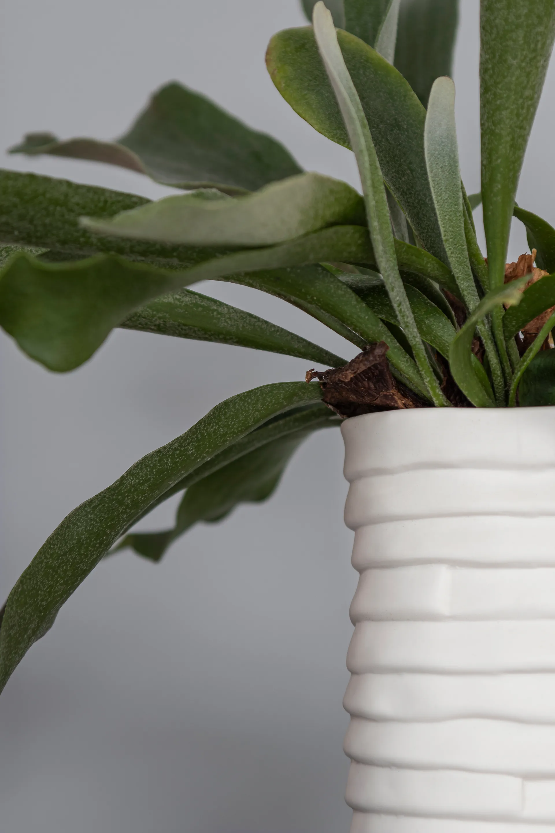 Ribbon 花瓶 大 20 cm, 米白色 Mette Ditmer