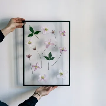 Moebe A3 画框 31.7x44cm - 黑色 - MOEBE