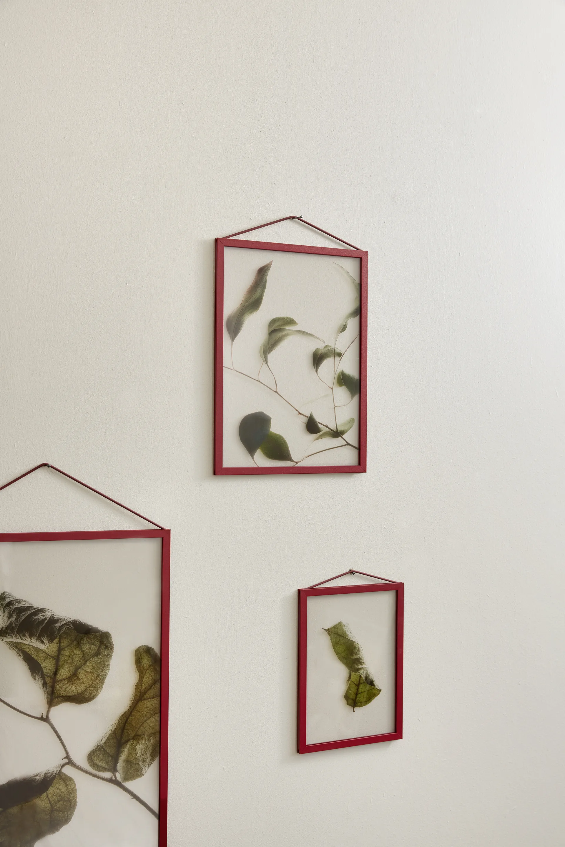 Moebe 框架 A4 22.6x31.3 cm, Transparent. Red MOEBE