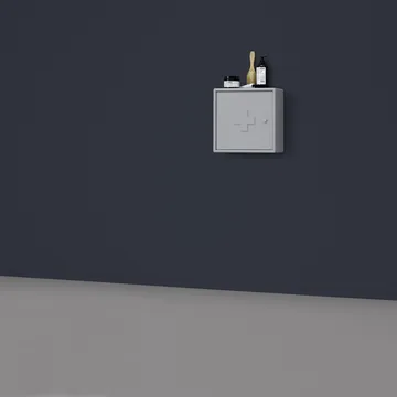 Aid Medicine 柜子 - Rosehip 145 - Montana