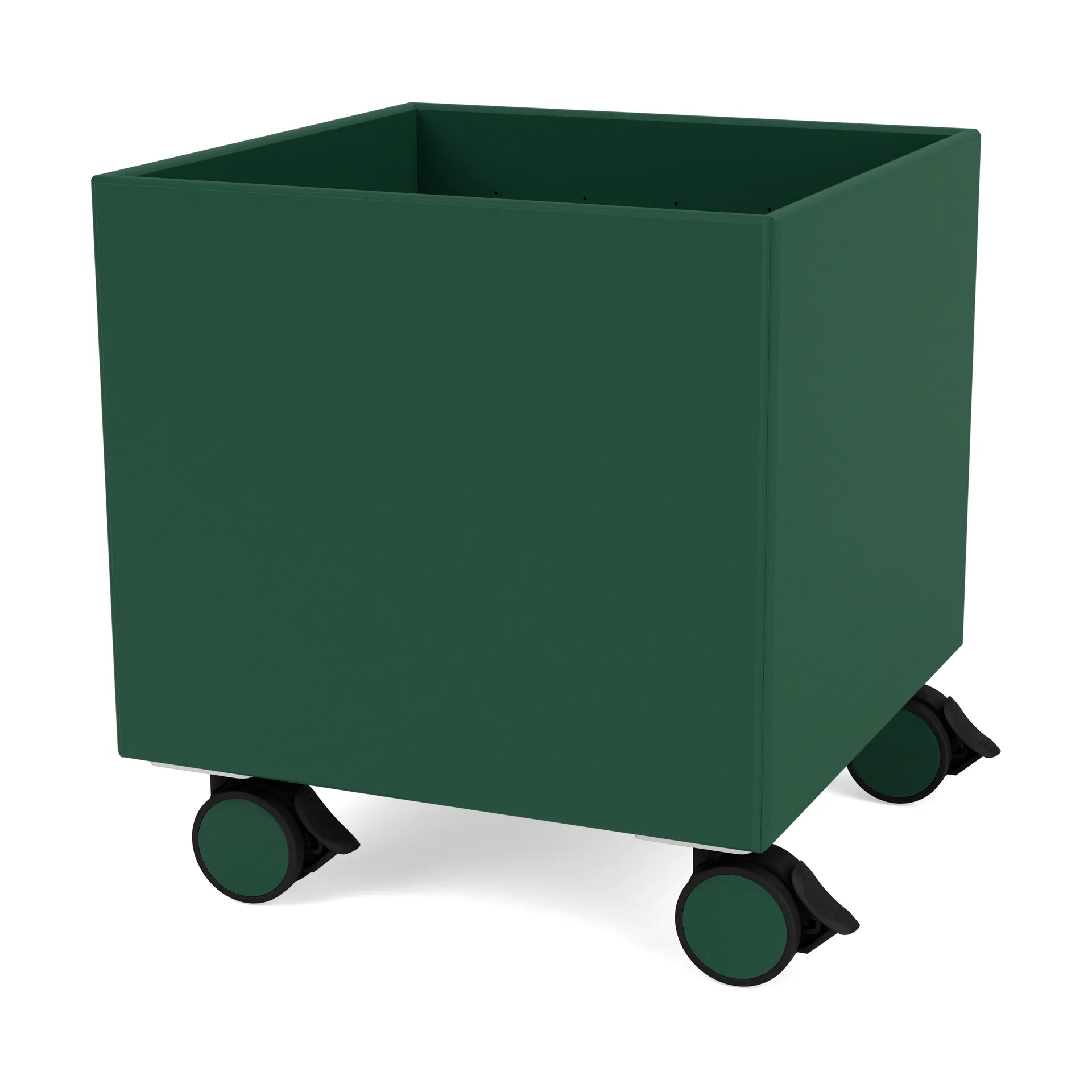 Colour Box I – S6161, Pine Montana