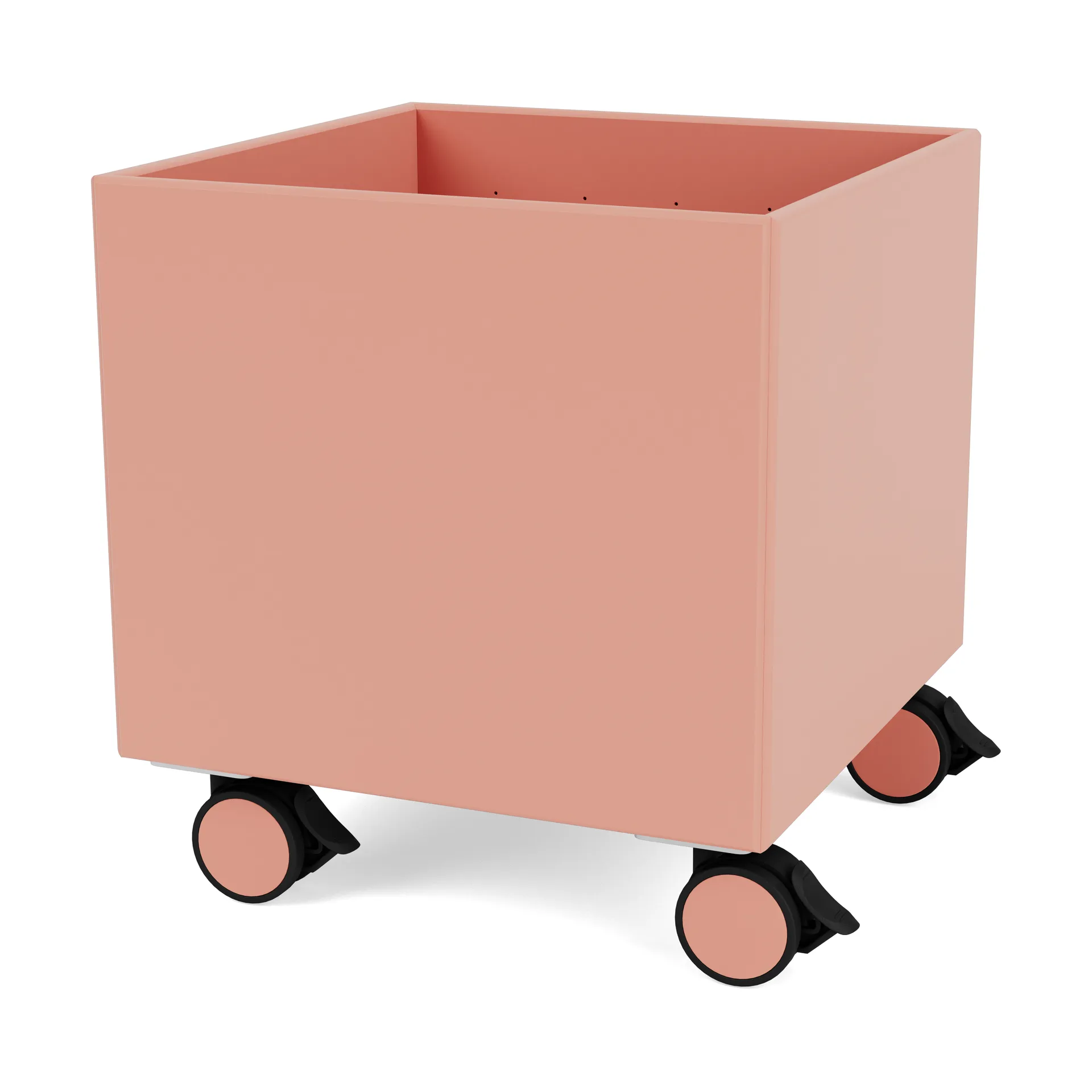 Colour Box I – S6161, Rhubarb Montana