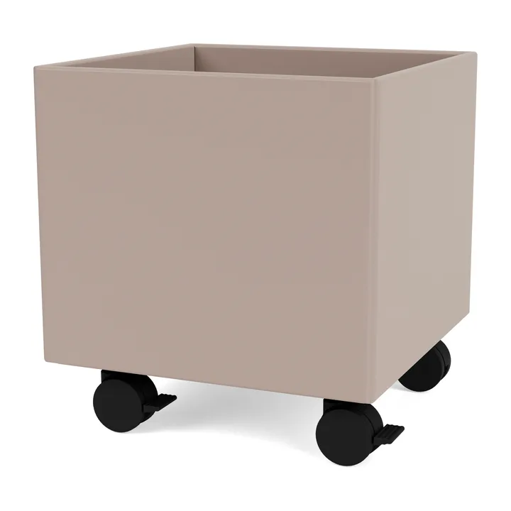 Colour Box I – S6161 - 蘑菇色 - Montana