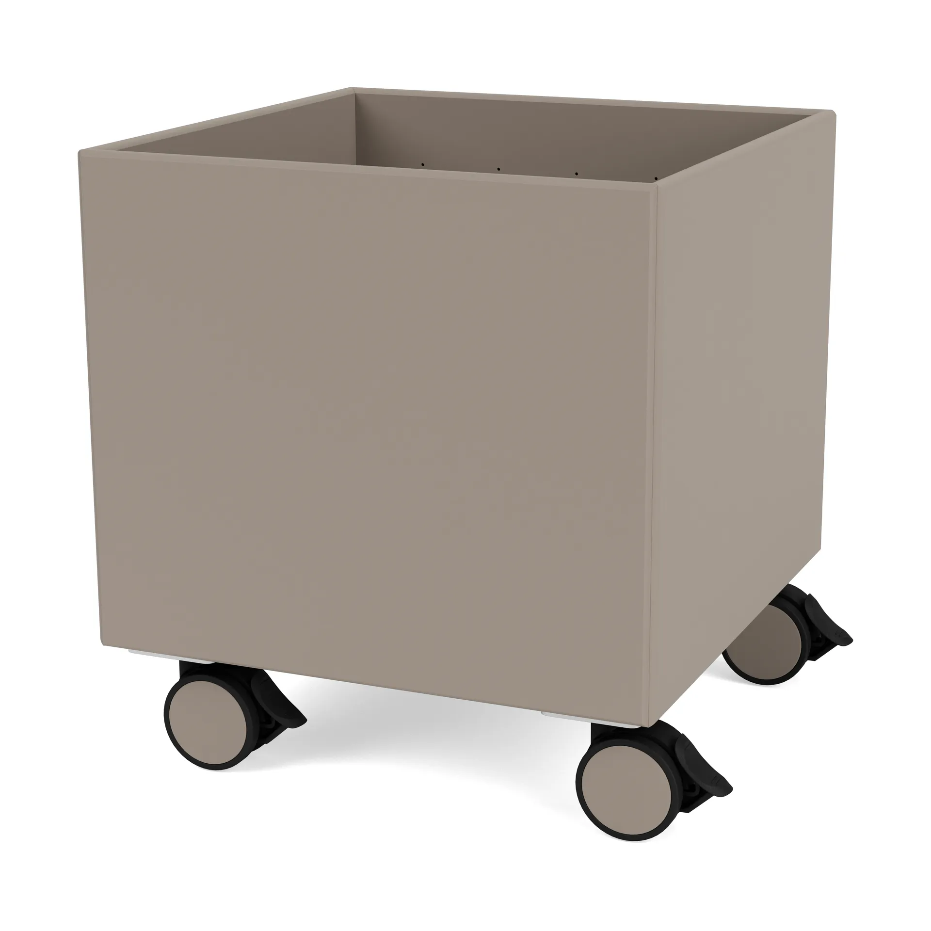 Colour Box I – S6161, 松露 Montana