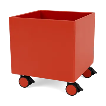 Colour Box I – S6161 - 玫瑰果色 - Montana