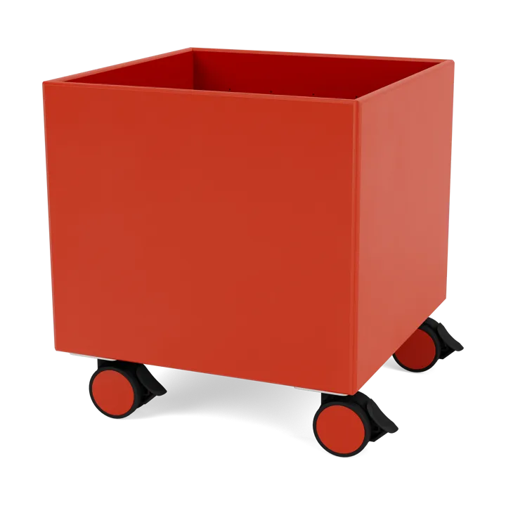 Colour Box I – S6161 - 玫瑰果色 - Montana